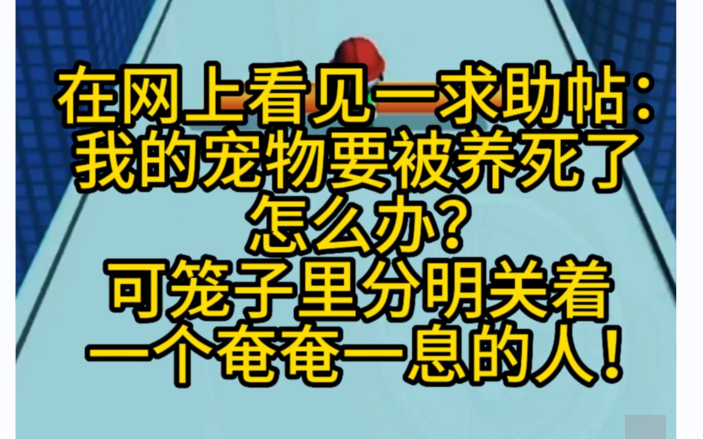 惊悚悬疑 网上看到有人求助宠物相关,而笼子里关着的竟然是个人类!小说推荐哔哩哔哩bilibili