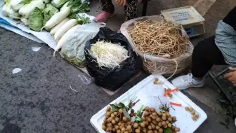 攀枝花仁和夜菜市东西太便宜了！农民挣钱真心不易