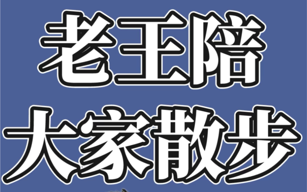 日语N1报名!年底一起散步!哔哩哔哩bilibili