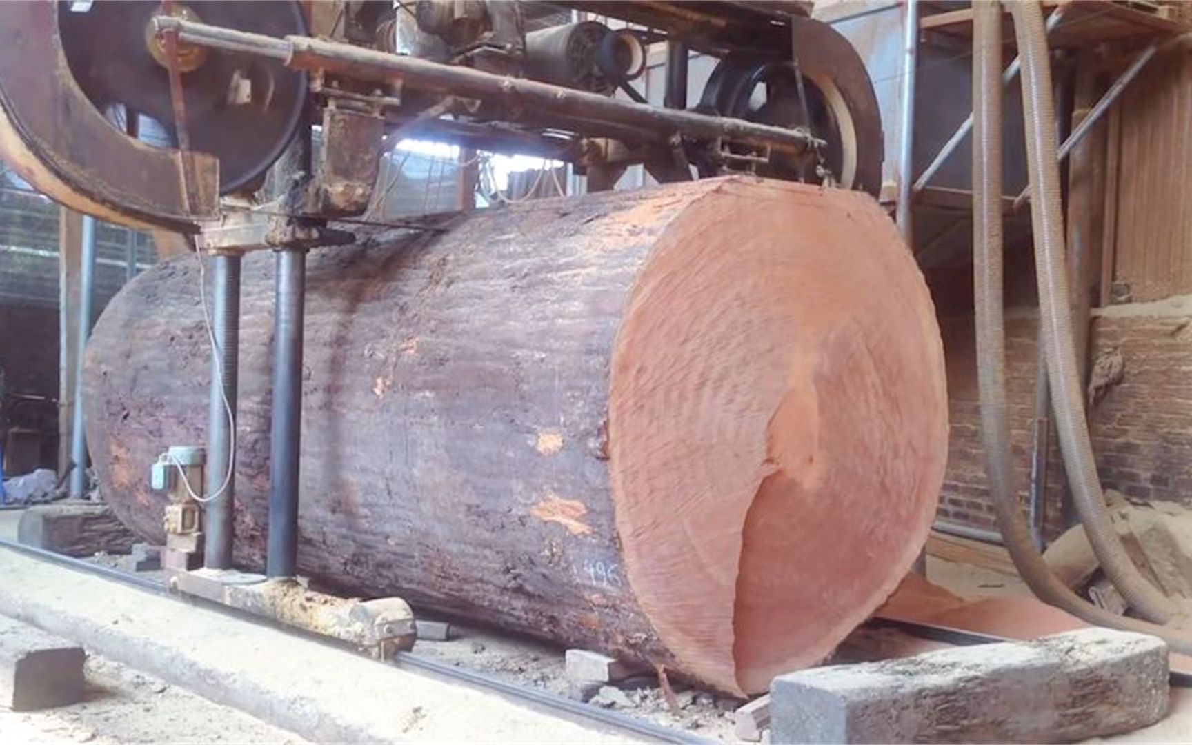 巨型树木切割机,几分钟就轻松将大树切割成木板