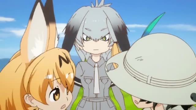 兽娘动物园mad鲸头鹳患了中二病