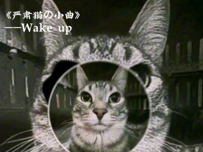 [图]《严肃猫の小曲》——Wake up