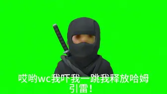 姆忍宗初级忍术之一[哈姆引雷]