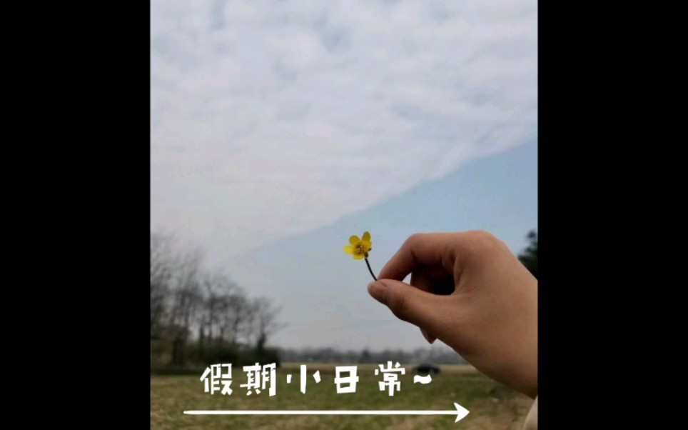 家乡的水萩粑~哔哩哔哩bilibili