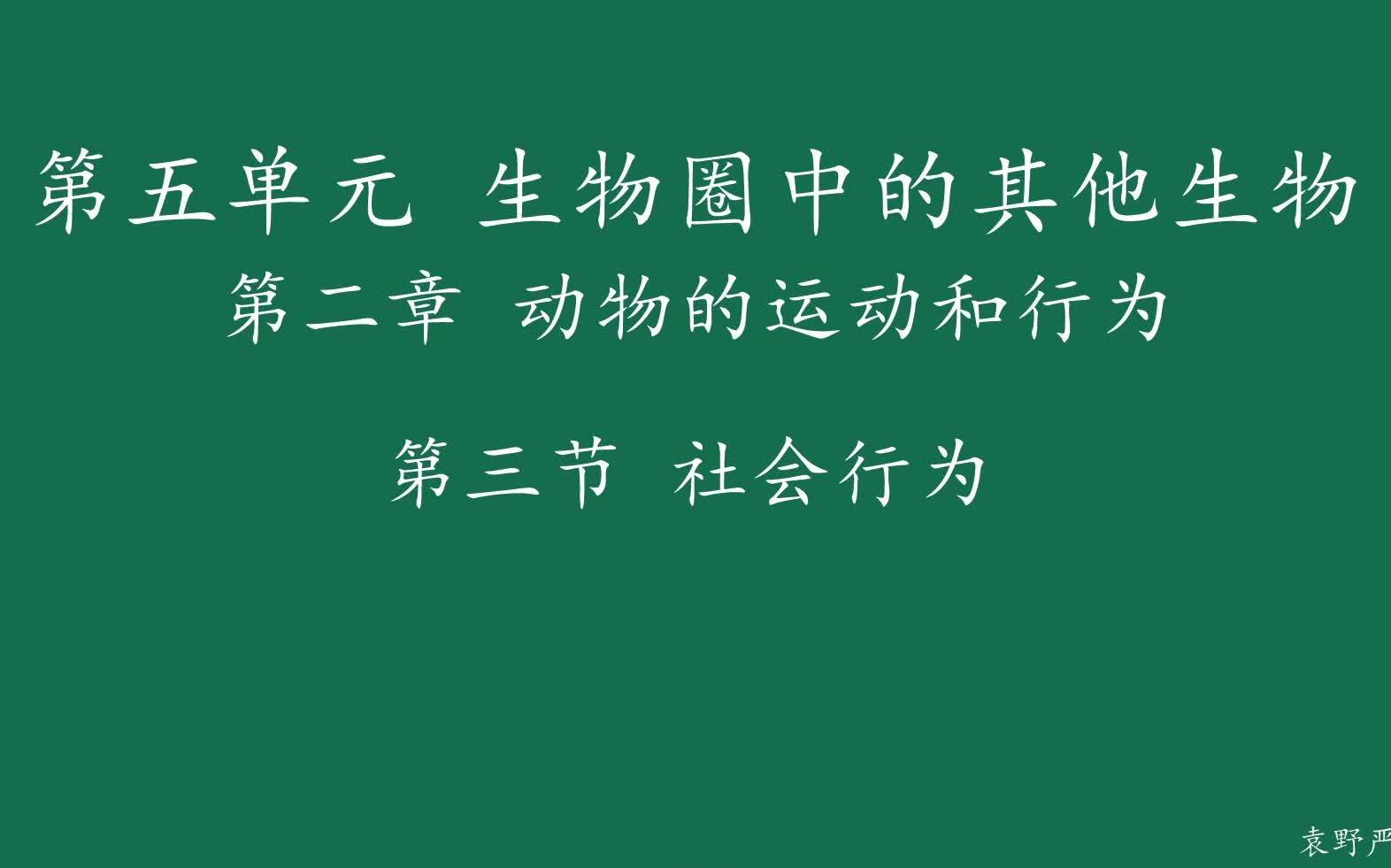 19.社会行为哔哩哔哩bilibili