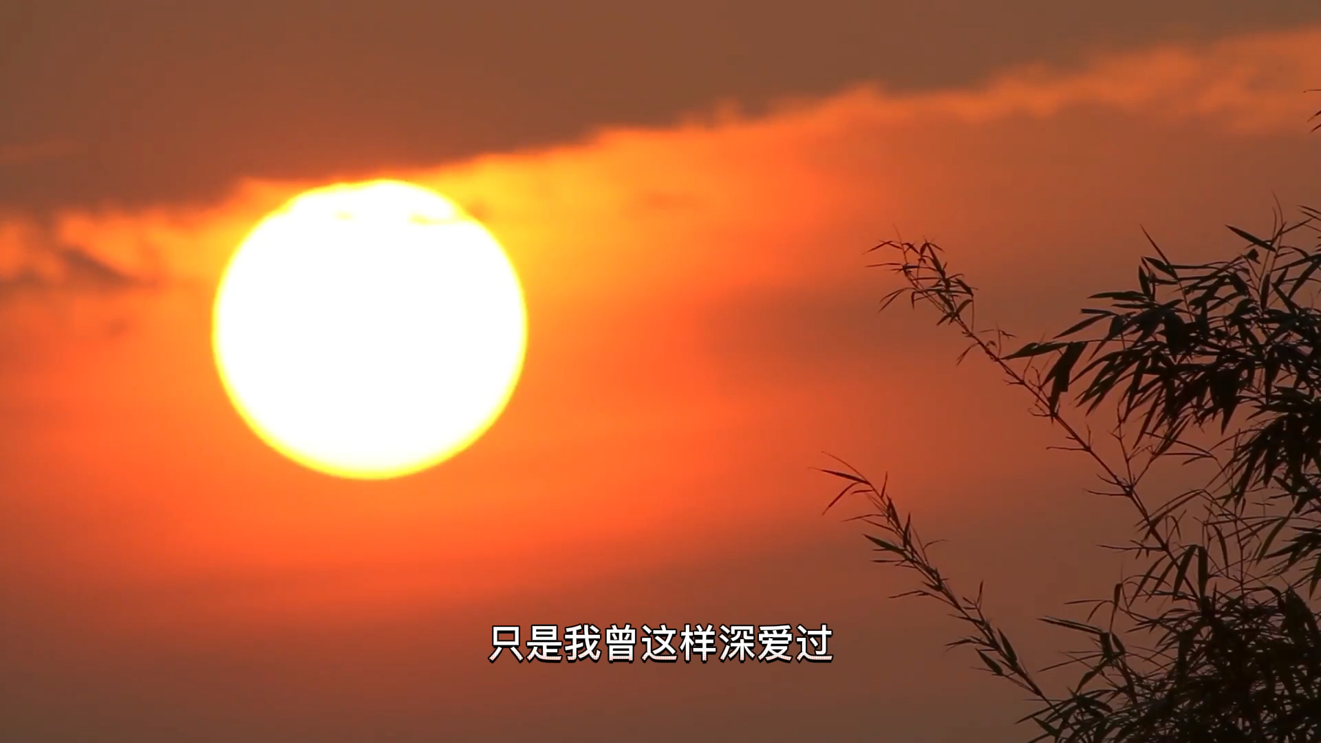 [图]一吻天荒&晚夜微雨问海棠