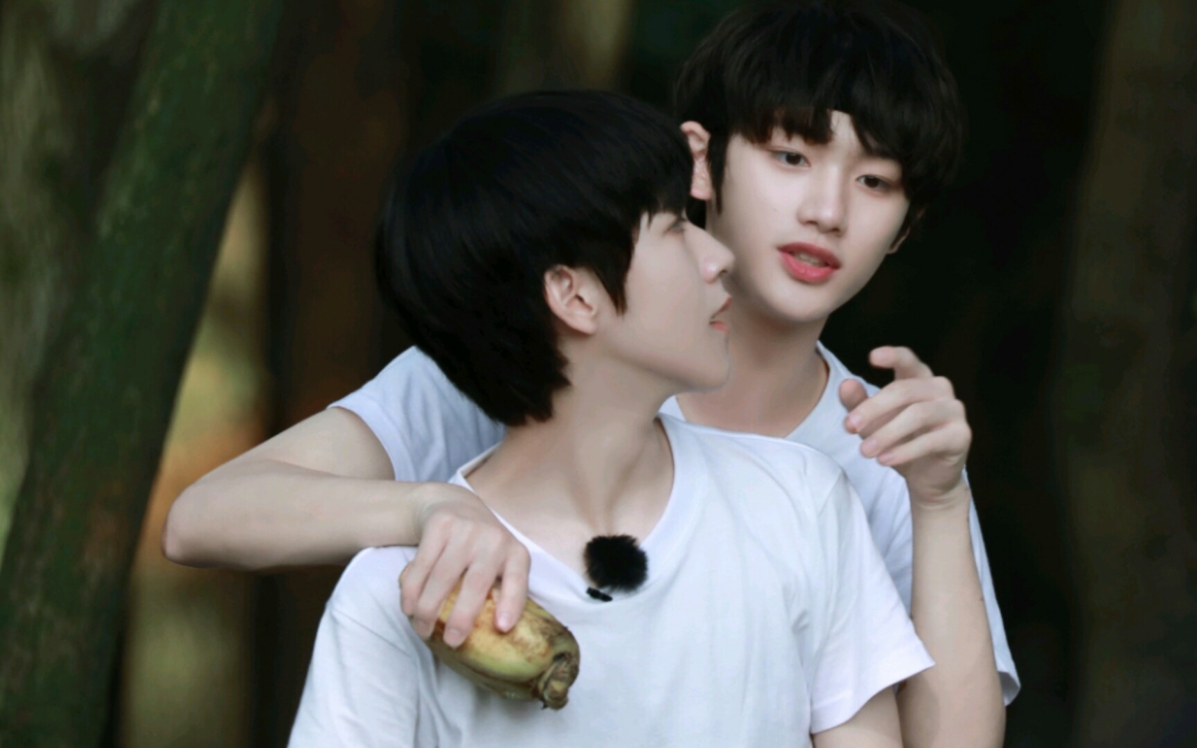 [鑫霖]霸道莲藕与呆萌土豆