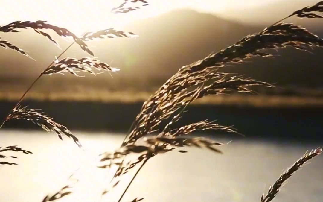 [图]走过平湖烟雨，岁月山河，那些历尽劫数、尝遍百味的人，会更加生动而干净