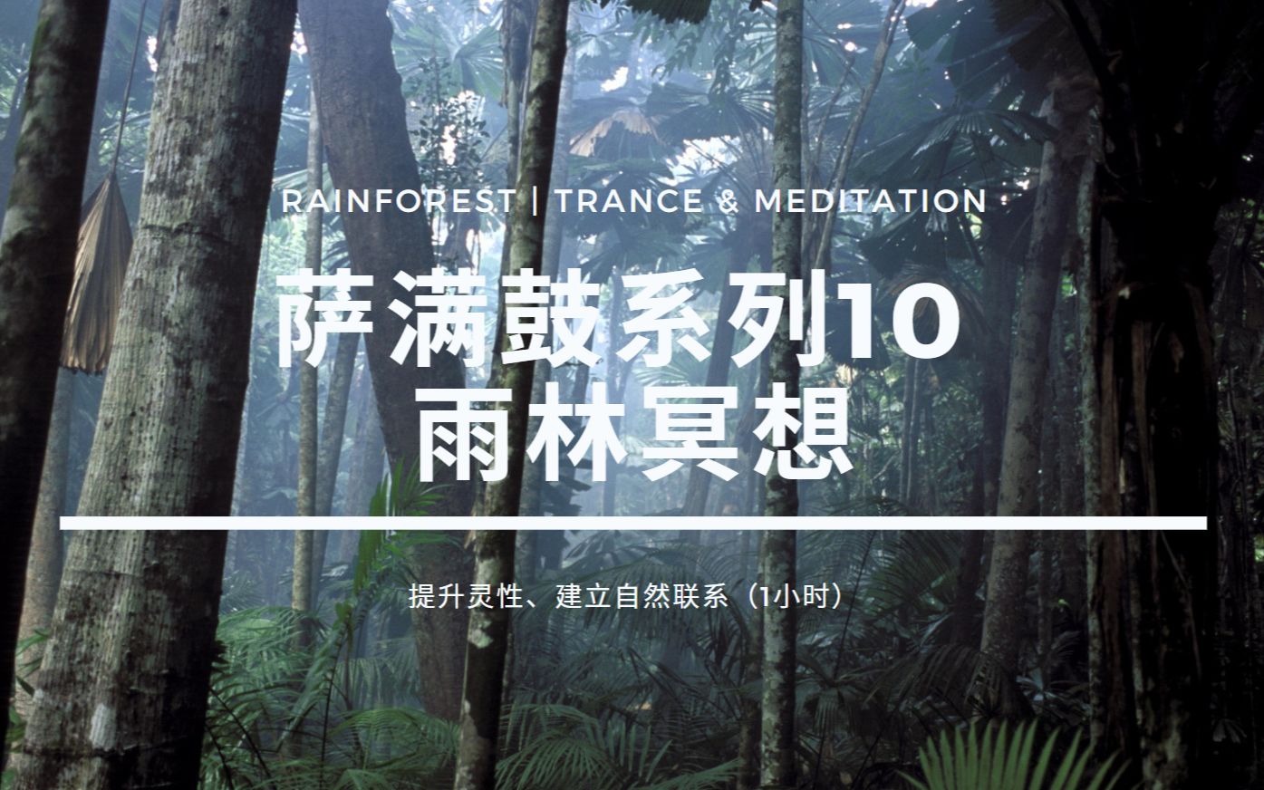 𐟌𓒡inforest𐟒格 萨满鼓系列10 | 自然灵性 | 冥想哔哩哔哩bilibili