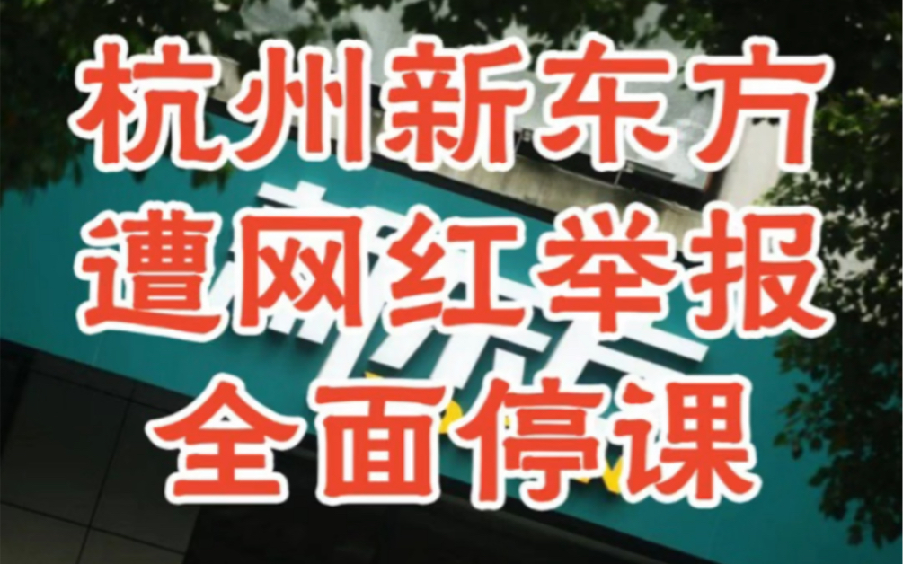 【今日热点】网红称要让补课行为在浙江断根!(8月10号)哔哩哔哩bilibili