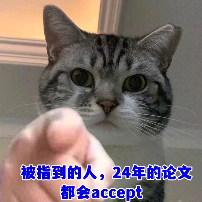 被指到的人,24年的论文都会accept!哔哩哔哩bilibili