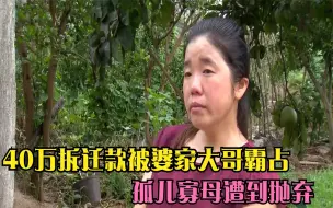 Descargar video: 丈夫去世婚房被征收，40万拆迁款被婆家大哥霸占，孤儿寡母遭抛弃