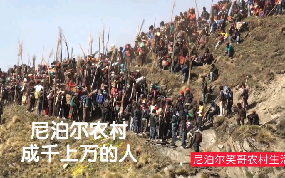 [图]尼泊尔农村，村民们汇聚喜马拉雅山雪山，开始为期三个月的挖虫草生活，成群结队，犹如一条长龙，非常壮观