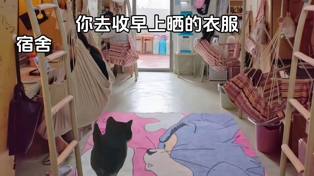 收衣服的你哔哩哔哩bilibili