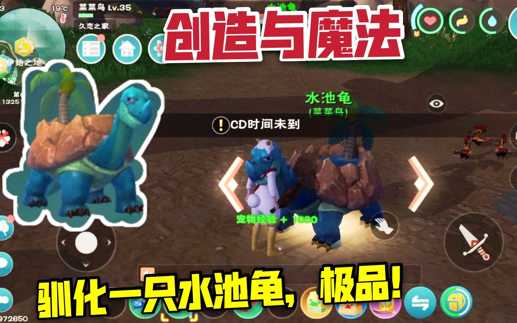 活动作品创造与魔法10驯化一只极品水池龟这下可以合新宠物了