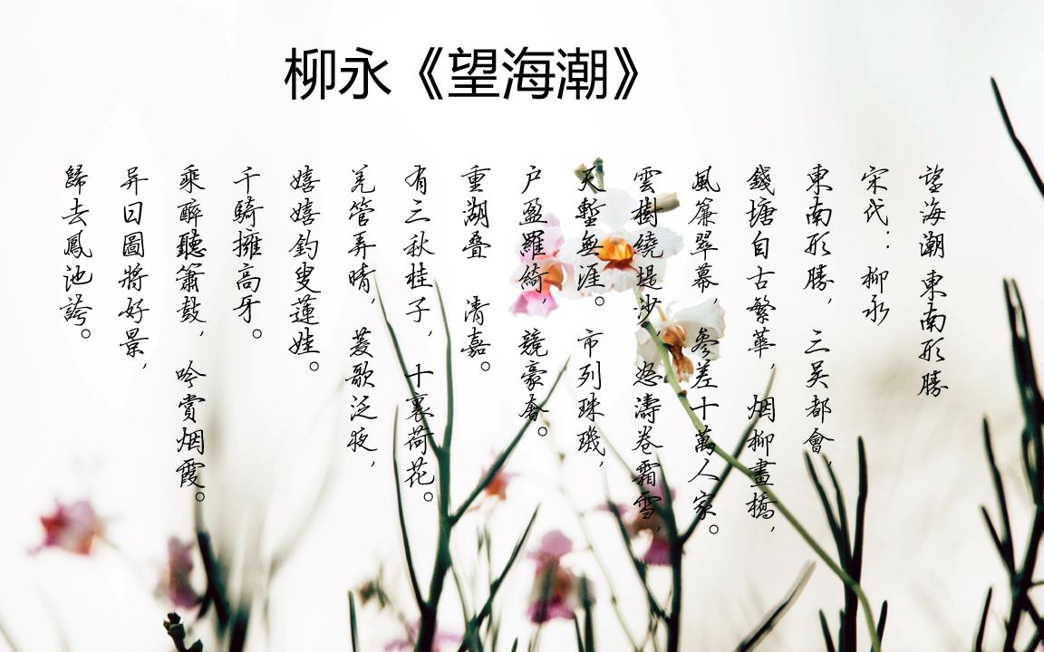 柳永《望海潮》诵读教学版
