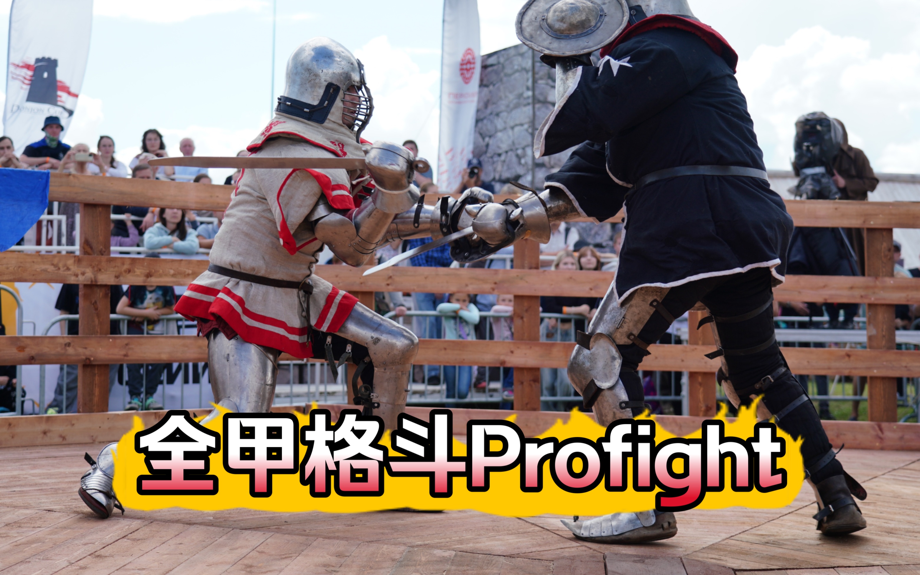 全甲格斗中量级Profight哔哩哔哩bilibili