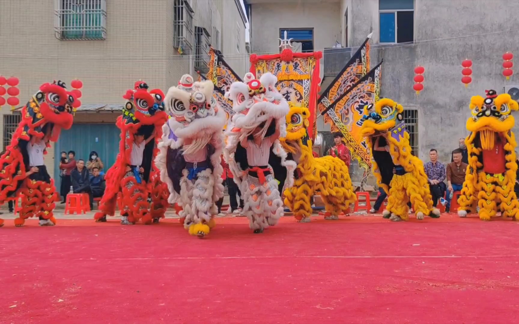 元宵节表演#海陆丰 #舞狮 #醒狮 #传统文化 #舞狮表演