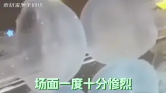 下载视频: 好家伙！水母打架的恐怖程度不亚于两只卡皮巴拉怒目而视！