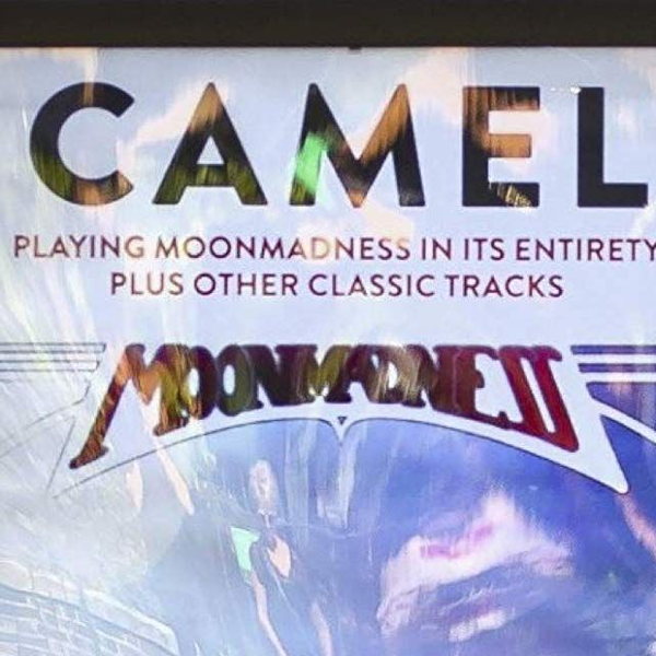 2CD！CAMEL /キャメル/ライヴ・アット・ザ・ロイヤル・アルバート・ホール Live At The Royal Albert Hall (2CD) : Camel | HMV&BOOKS