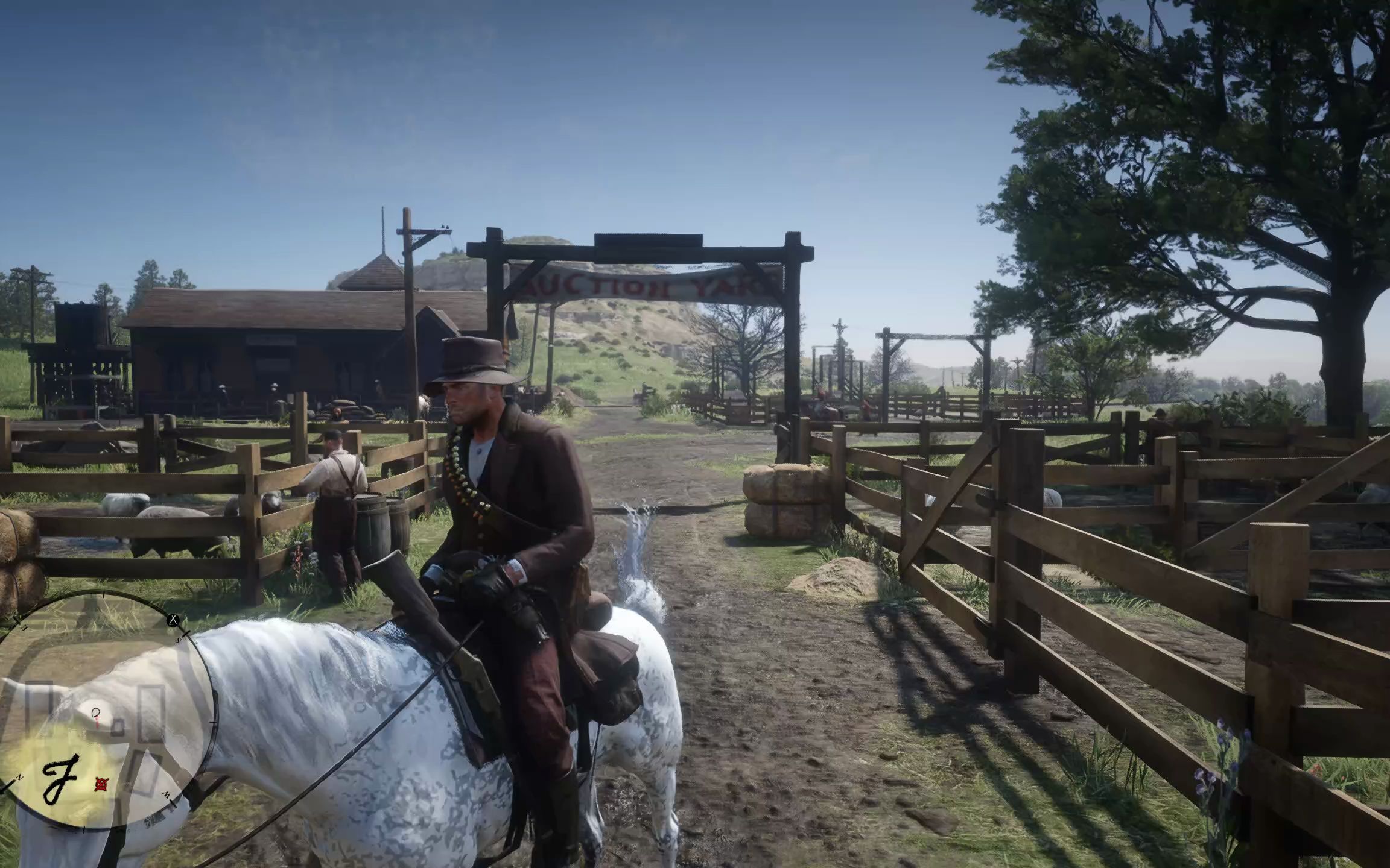 荒野大镖客2主线任务第二章马掌望台绵羊和山羊