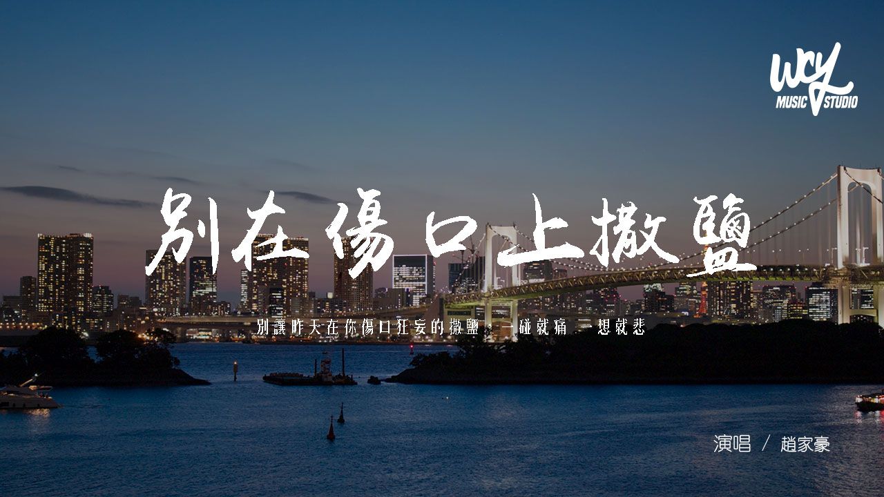 趙家豪 - 別在傷口上撒鹽 (男聲版)(原唱：張惠妹)「別讓昨天在你傷口狂妄的撒鹽，一碰就痛 一想就悲」(可轉伴奏和人聲視頻)【動態歌詞/pīn yīn gē