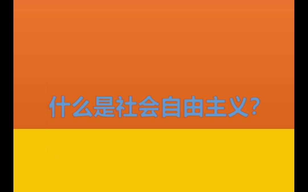 什么是社会自由主义?【我又懂了8】哔哩哔哩bilibili