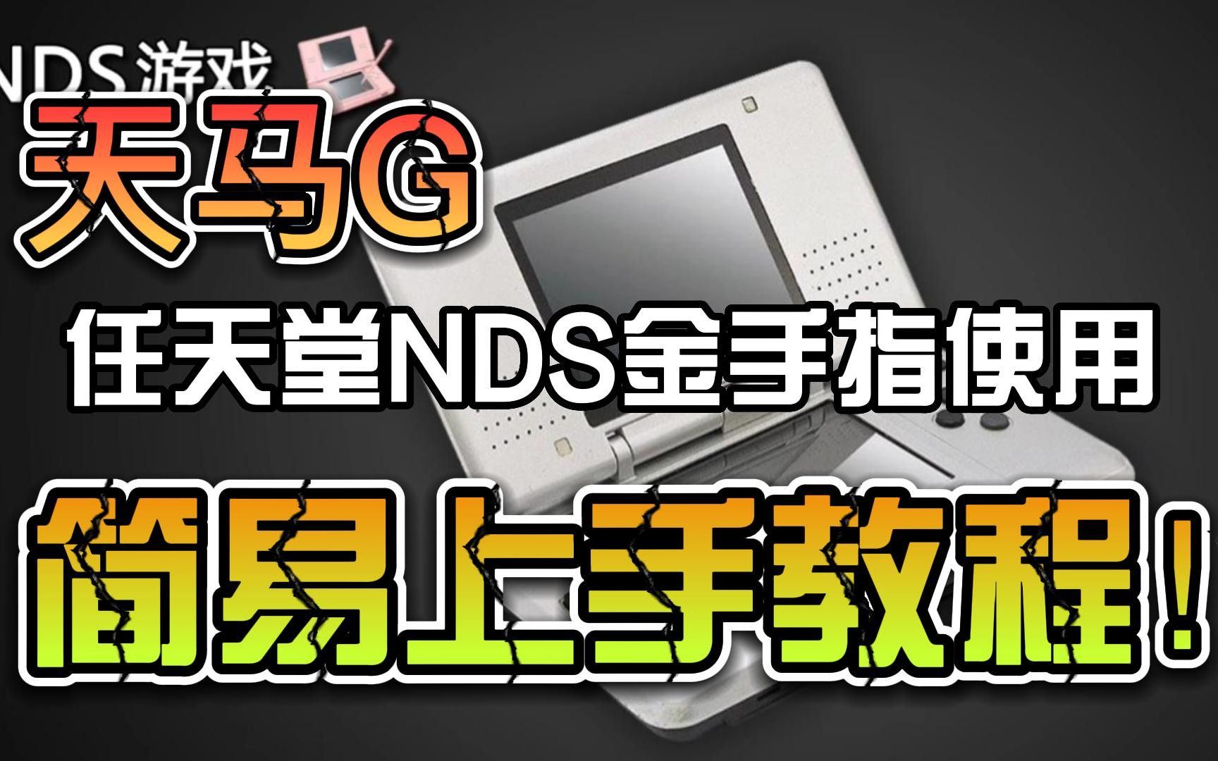 天马G 任天堂NDS金手指使用简易上手教程哔哩哔哩bilibili