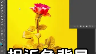 相似色背景这样抠图，原来这么简单，效果还不赖
