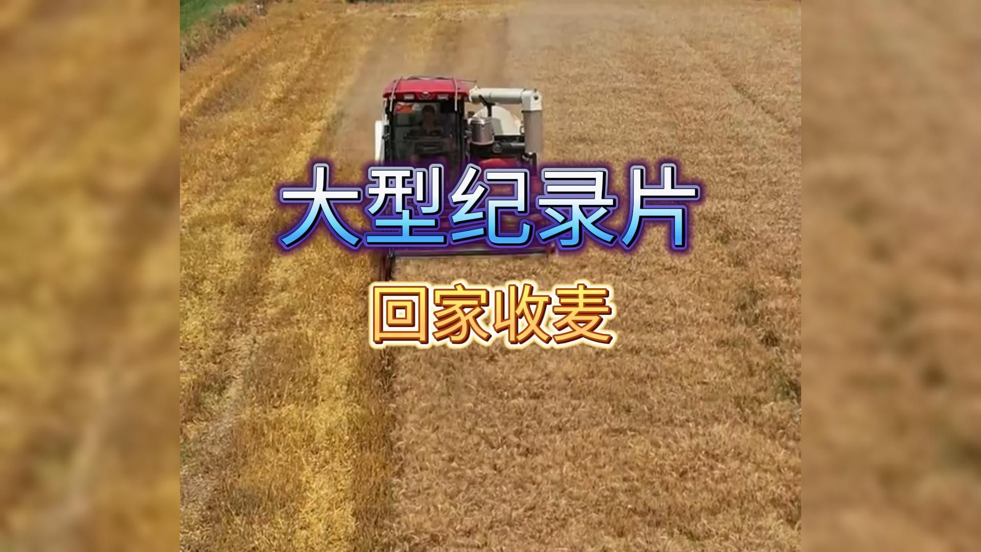 大型纪录片《回家收麦》哔哩哔哩bilibili