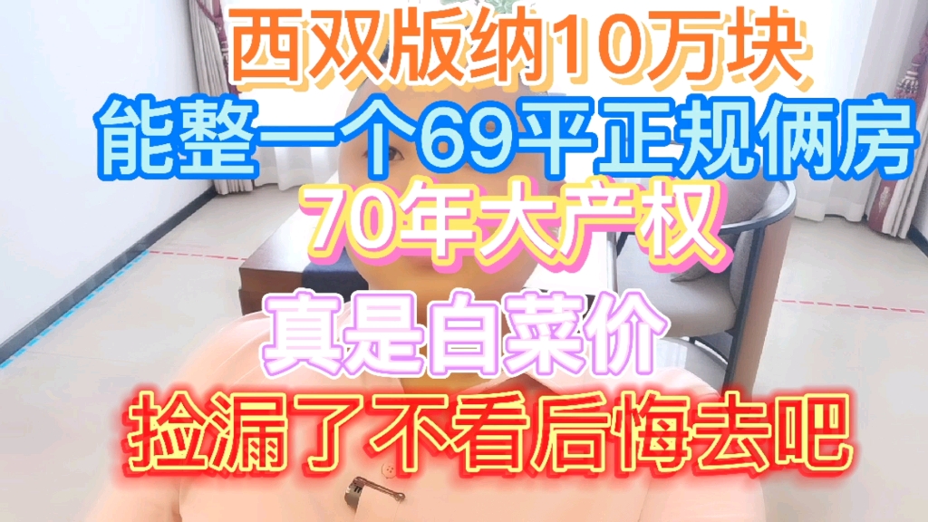 西双版纳10万块能整一个69平正规俩房70年大产权真是白菜价捡漏了不看后悔去吧哔哩哔哩bilibili