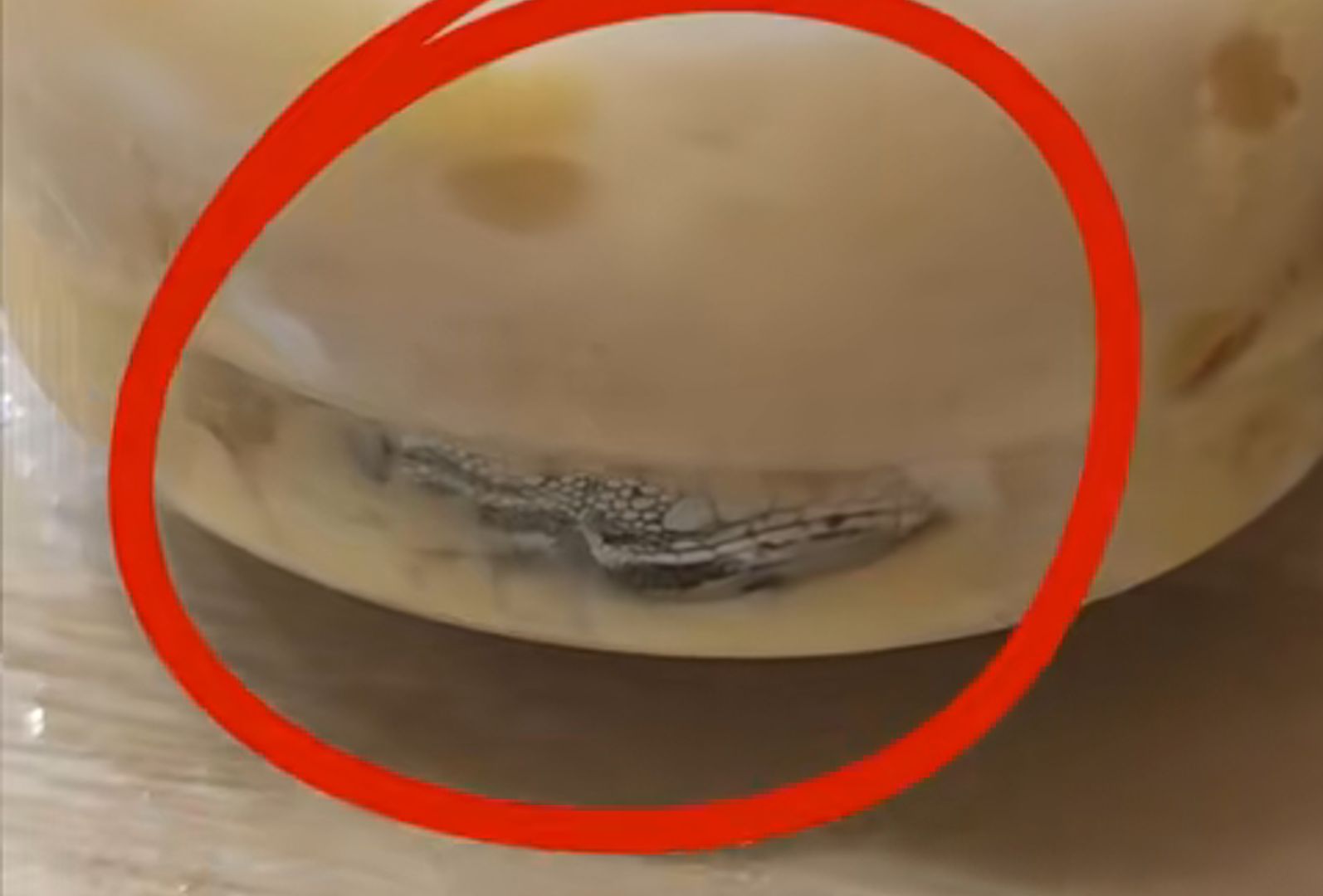 奶茶喝完杯底竟有一只壁虎！顾客：全程在店内饮用，商家拒绝道歉