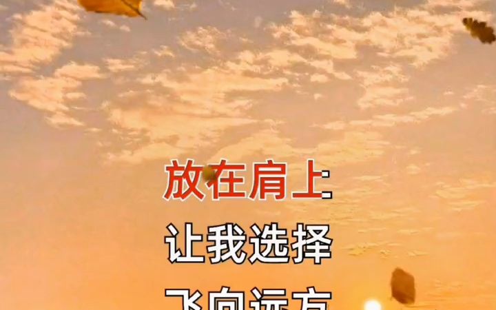 送给天下父亲的一首歌……祝愿天下父母健康长寿哔哩哔哩bilibili