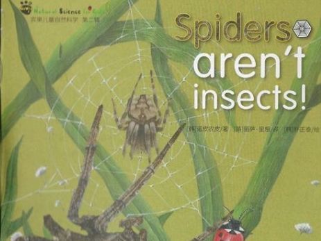 spiders arent insects!