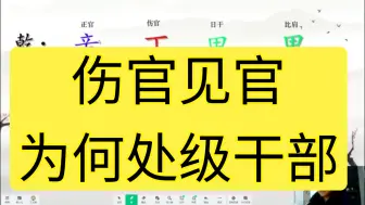 Tải video: 伤官见官，为何是处级干部