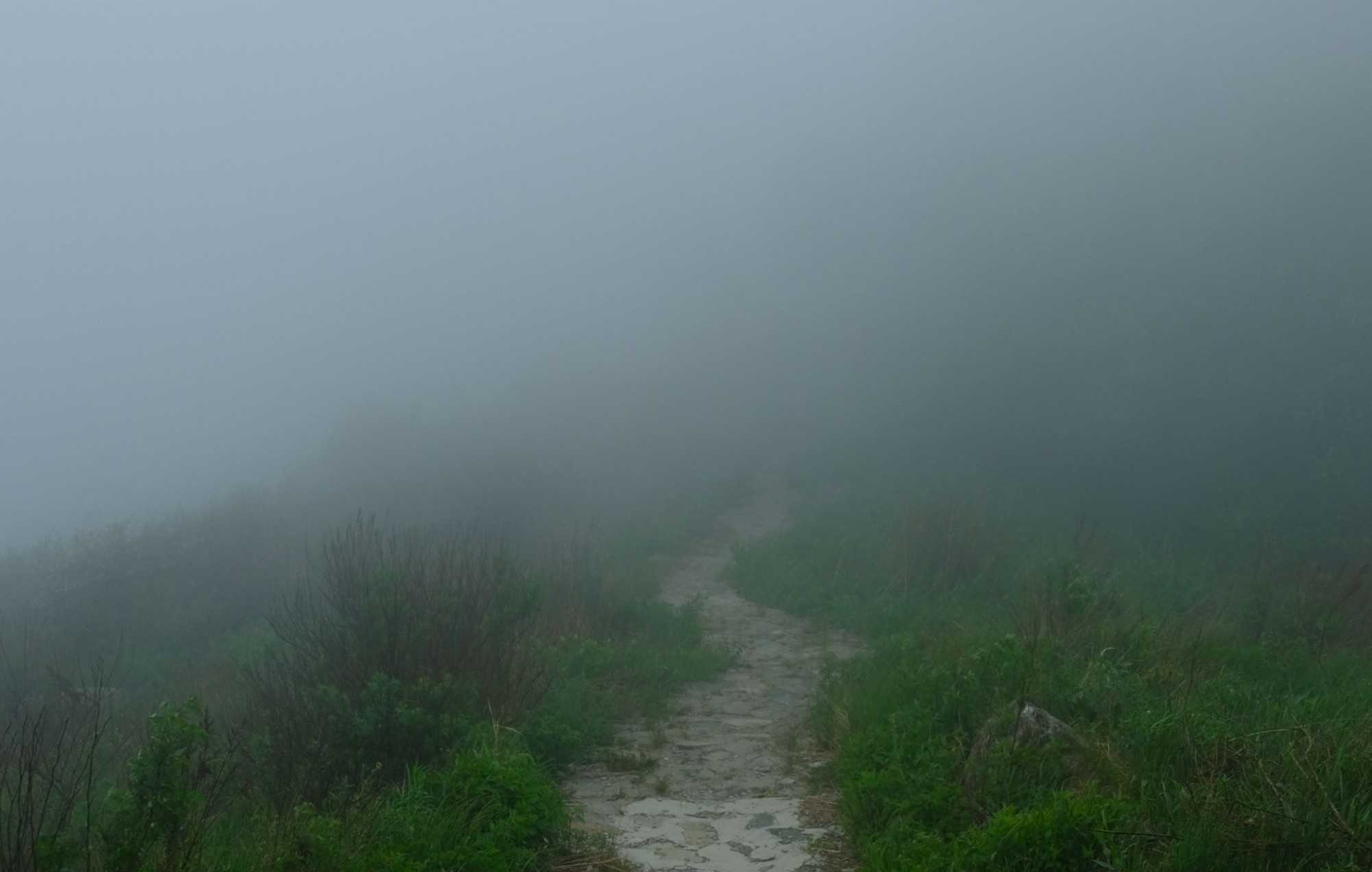 [图]那天，百花山上的雾很大