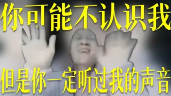 你可能不知道我是谁，但是你一定听过我的声音
