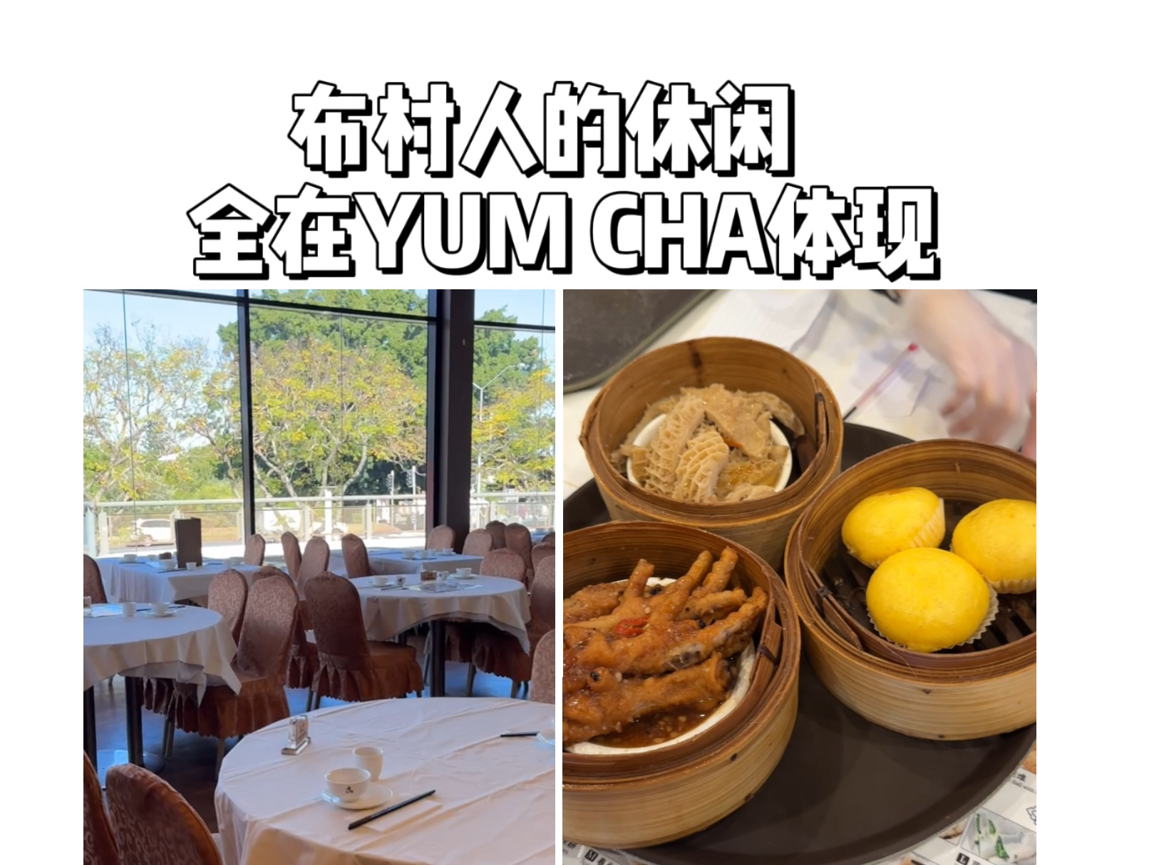 生活在澳洲|金轩有点难评,布村好吃的yum cha没有了吗哔哩哔哩bilibili