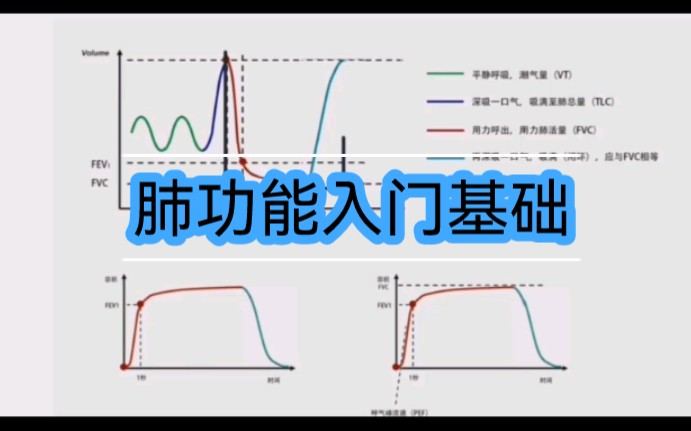 肺功能入门基础哔哩哔哩bilibili