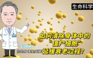 Tải video: 如何清除身体中的“僵尸细胞”，延缓衰老过程？