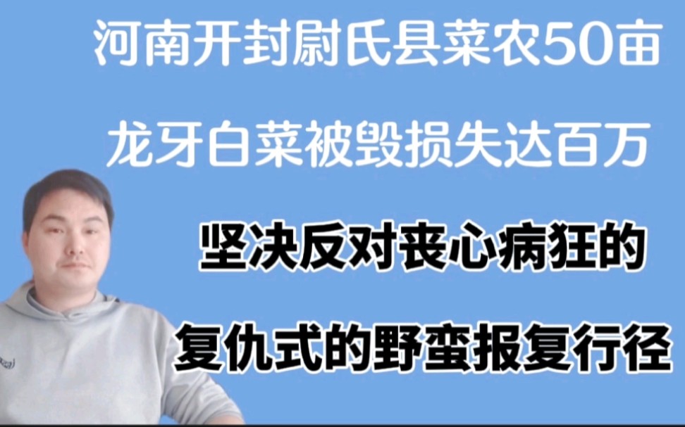 河南省开封市尉氏县菜农50亩龙牙白菜一夜被毁损失达百万,太可恨哔哩哔哩bilibili