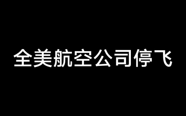 全美航空公司停飞哔哩哔哩bilibili