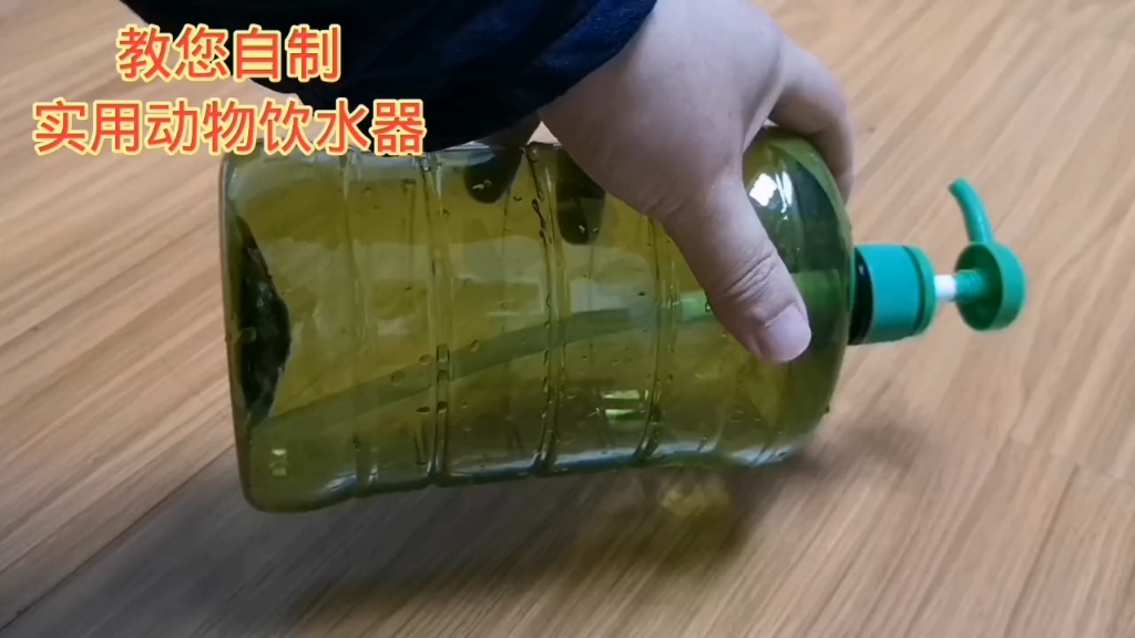 自制动物饮水器图片