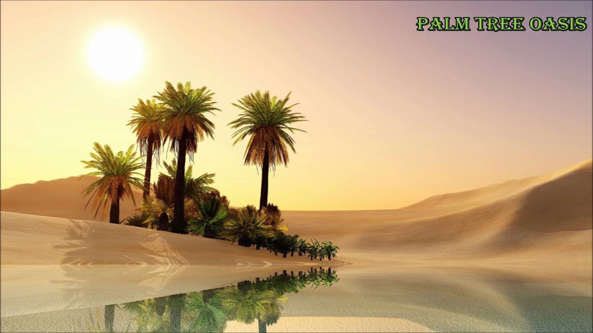 [图]古阿拉伯音乐-沙漠中的棕榈树绿洲 Palm Tree Oasis