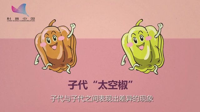 生物的变异哔哩哔哩bilibili