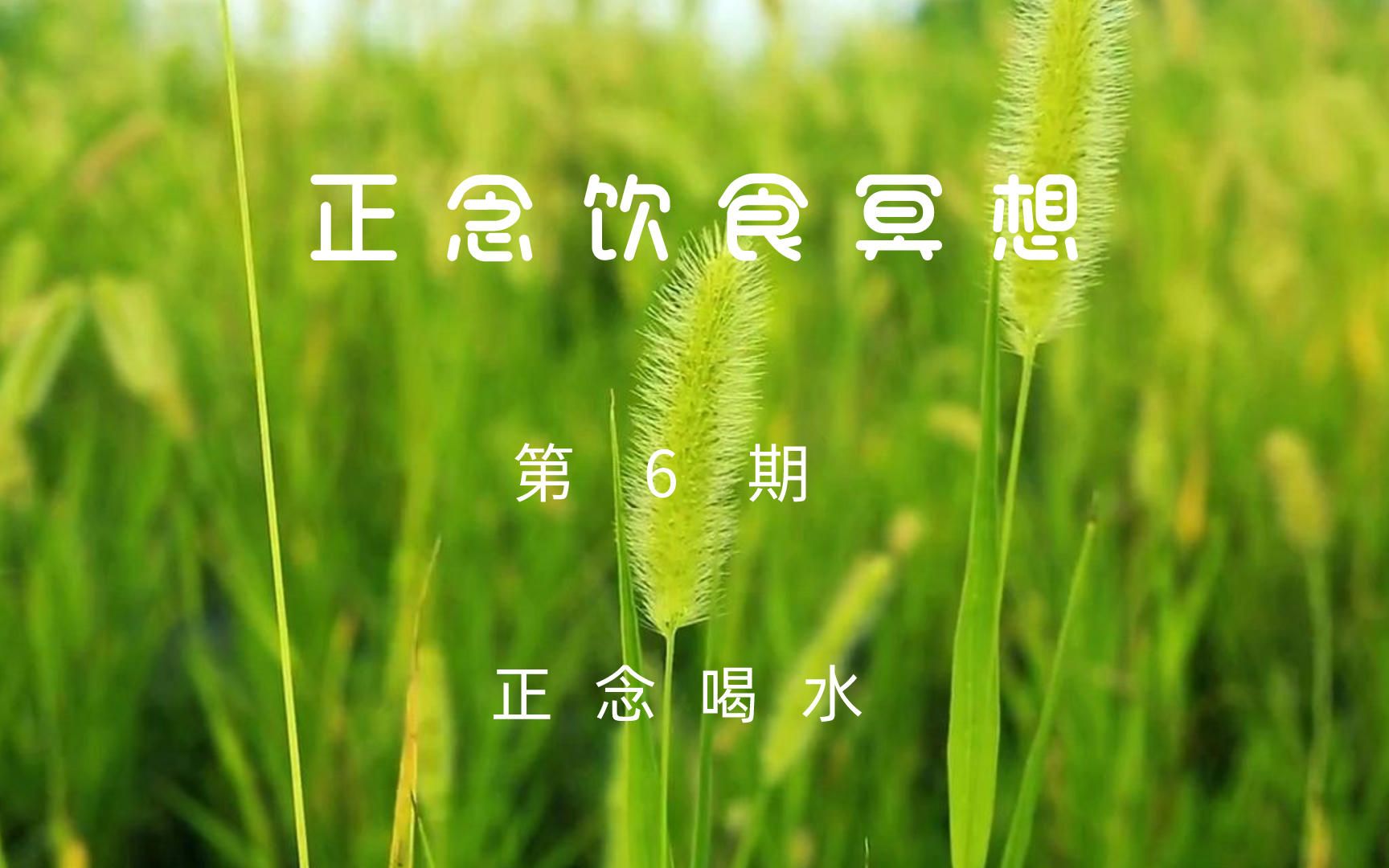 正念饮食冥想--正念喝水_哔哩哔哩_bilibili