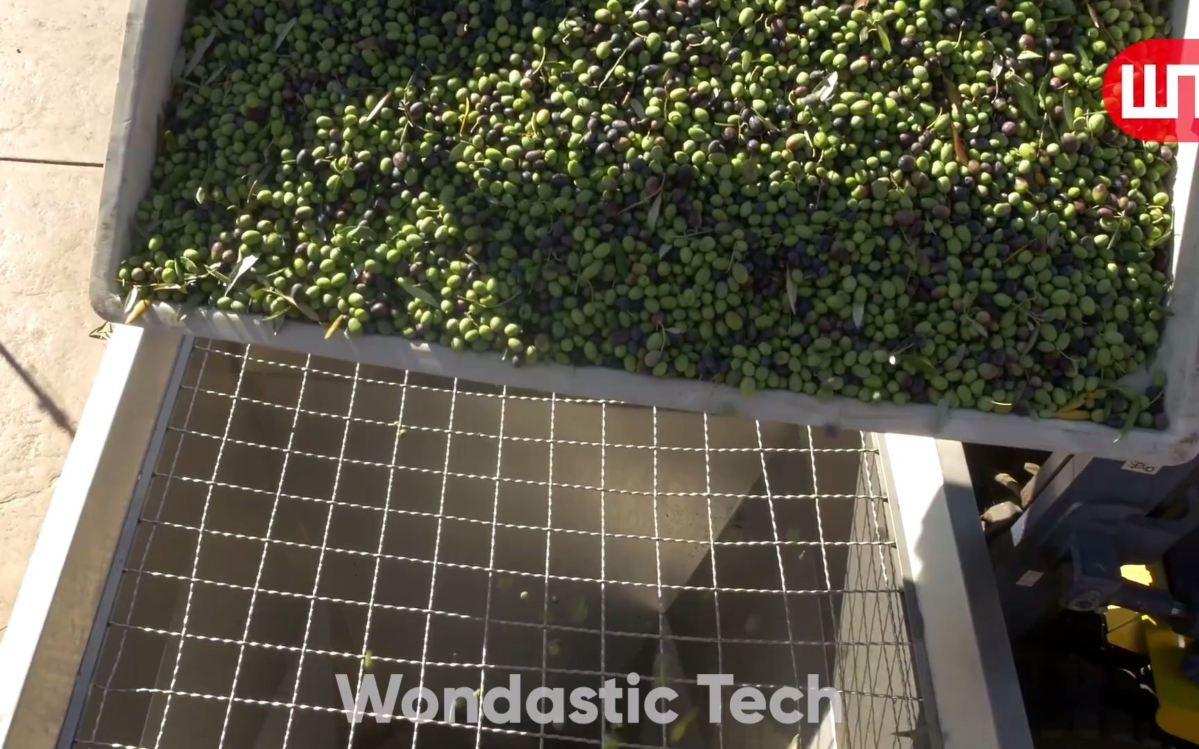 [图]How Olive Oil Is Made - How It's Made Olive Oil