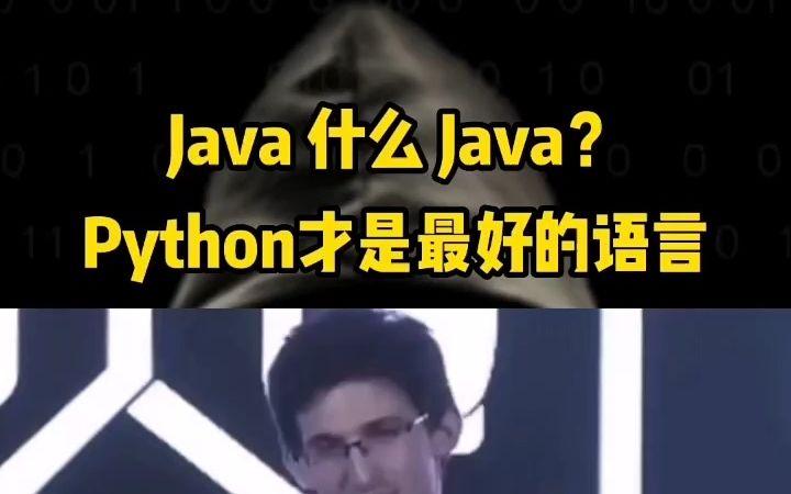 什么舔砖加瓦,Java什么Java?Python才是最好的语言,到底什么才是最好的语言?哔哩哔哩bilibili