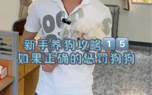 Tải video: 你们会正确的惩罚狗狗吗？是不是打了很多了，却不影响它下次继续犯错，还会越来越凶？