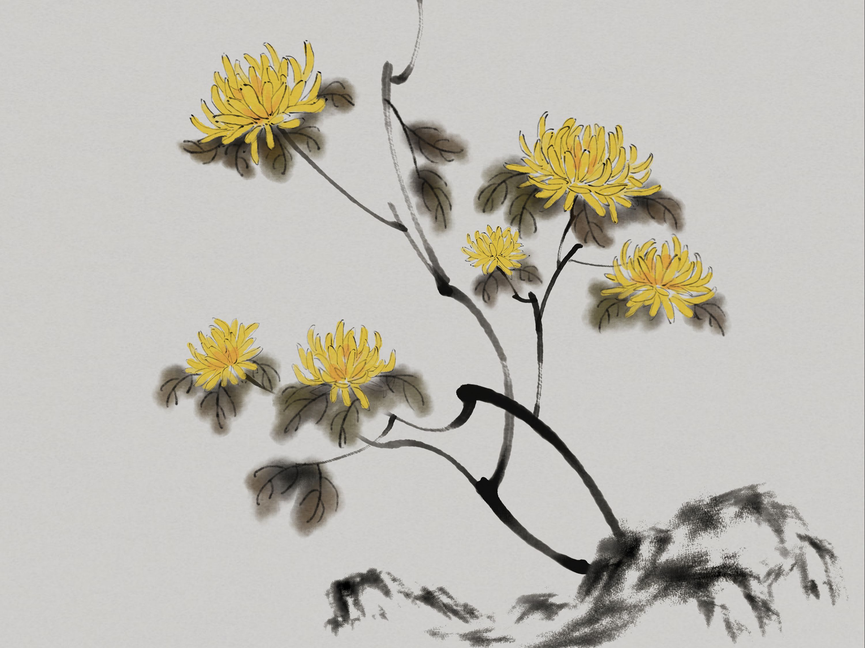 灵华水墨画笔9.0应用案例-国画菊花